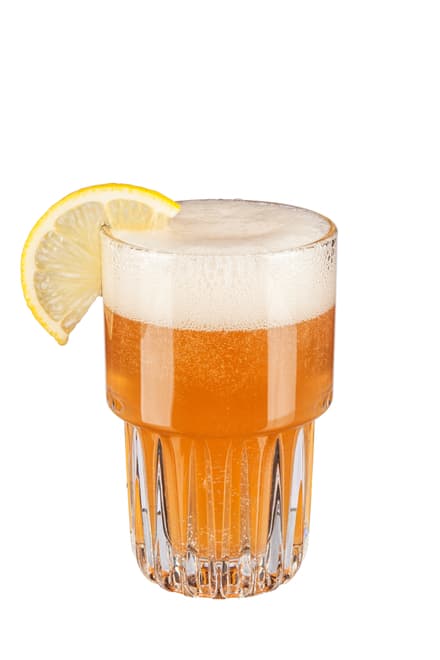 Sloe Gin Fizz